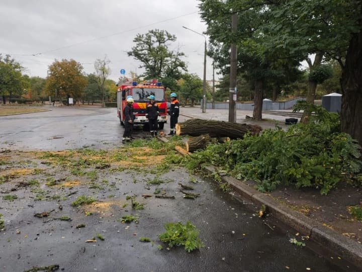 mykolaiv-battles-consequences-of-bad-weather-fallen-trees-city-prepares-for-heavy-downpours