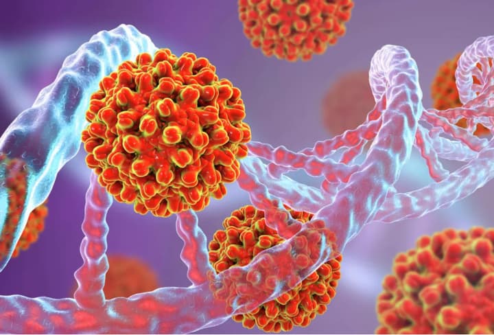 shi-mozhe-dopomohty-stvoryty-biolohichnu-zbroiu-vyiavleno-vrazlyvist-u-systemakh-biobezpeky