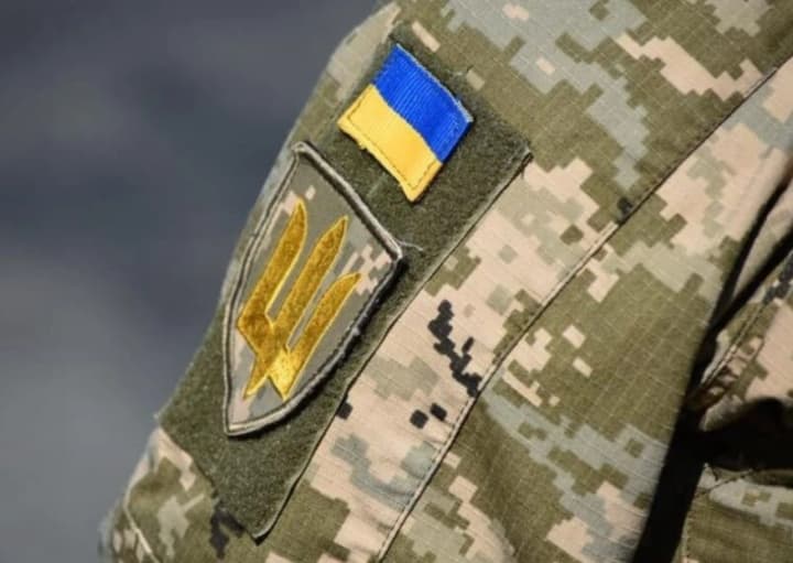 kyiv-regional-tcc-and-sp-denies-theft-of-a-cat-by-its-employees