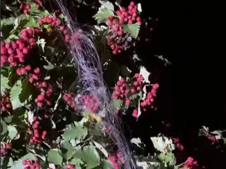 kramatorsk-zaznav-pershoi-ataky-rosiiskym-dronom-na-optovolokni