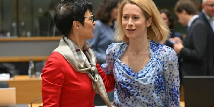 eu-criticizes-local-elections-in-georgia-over-suppression-of-dissent