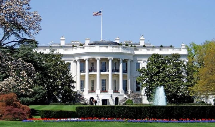 ufc-tournament-at-the-white-house-to-be-held-on-june-14-next-year-on-trumps-80th-birthday-reuters