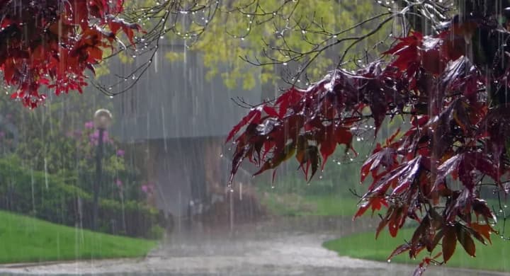 cyclone-to-bring-rains-to-ukraine-weather-forecast-for-october-7