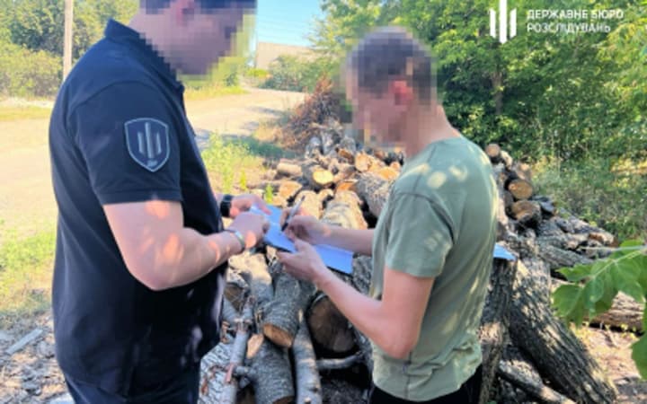 forestry-official-organized-illegal-felling-of-century-old-trees-worth-4-million-hryvnias