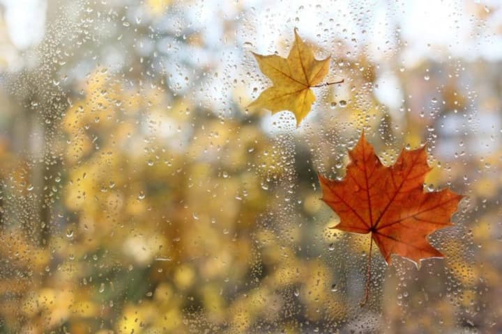cyclone-to-cover-almost-all-of-ukraine-october-9-to-bring-rain-clouds-and-cool-weather