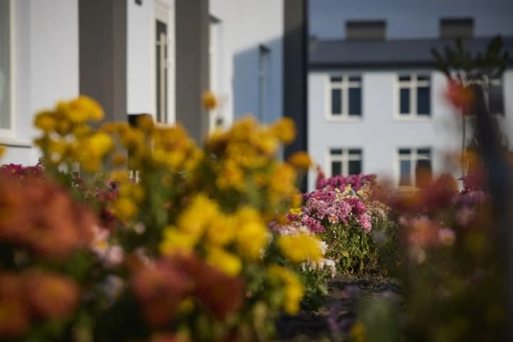 chastnie-doma-podorozhali-v-3-4-raza-kakie-regioni-lideri