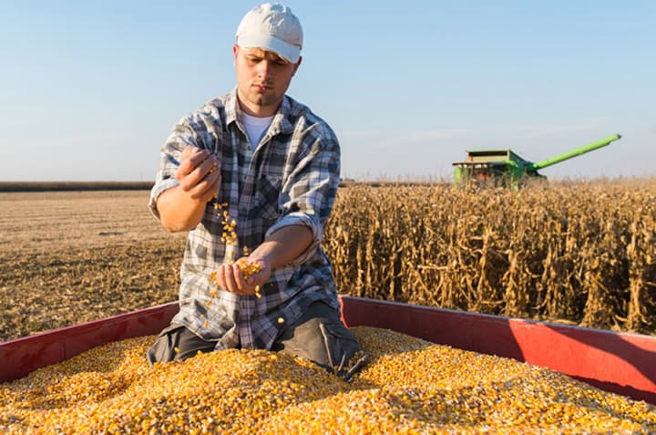 verkhovna-rada-ukhvalyla-zakon-pro-stvorennia-vyplatnoi-ahentsii-dlia-pidtrymky-ahrariiv