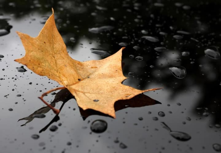 zonti-nagotove-didenko-preduprezhdaet-o-dozhdyakh-i-pokholodanii-10-oktyabrya