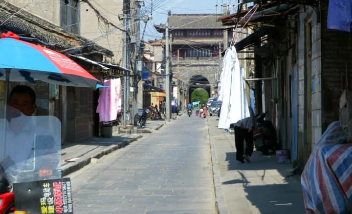 vyhuliuiut-sobak-ta-suprovodzhuiut-do-likariv-kytaiski-kompanii-z-nerukhomosti-zminiuiut-profil-cherez-problemy-na-rynku