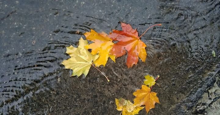 cold-tuesday-ukraine-expects-rain-and-temperature-drop-on-october-13-forecaster