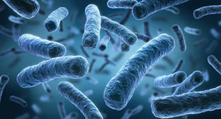 otchet-voz-ustoichivost-k-antibiotikam-znachitelno-vozrosla-v-mire-za-5-let-skorost-na-urovne-plyus-40percent