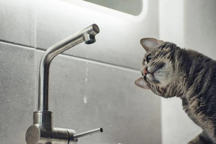 pravii-bereg-stolitsi-poluchaet-vodu-v-rezhime-ponizhennogo-davleniya-iz-za-pereboev-so-svetom-kievvodokanal