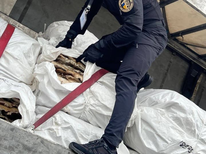 skrival-stoimost-mekha-ot-tamozhennogo-kontrolya-no-v-itoge-poteryal-10-mln-grn-predprinimatel-pogorel-na-popitke-sekonomit