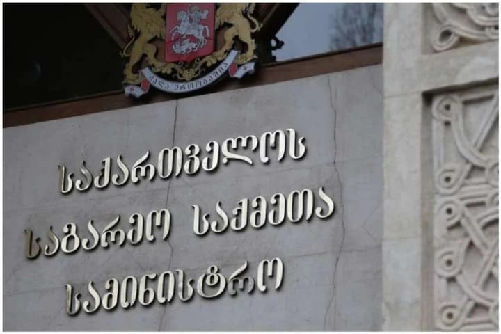 georgia-sent-a-protest-note-to-the-osce-over-the-participation-of-the-organizations-head-in-a-protest-action-in-tbilisi