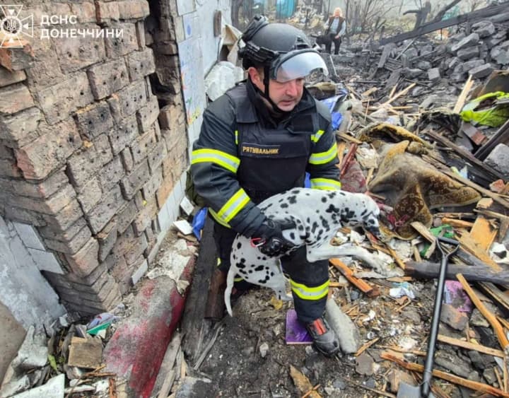 riatuvalnyky-vytiahly-sobaku-z-pid-zavaliv-pislia-aviaudaru-rf-po-dobropilliu