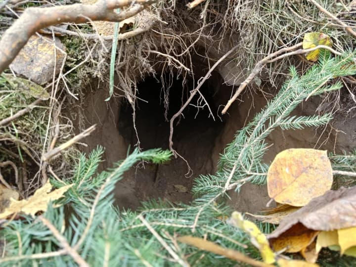 polish-border-guards-discovered-a-tunnel-on-the-border-with-belarus