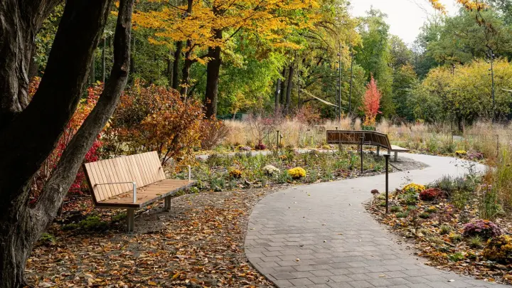 publichnyi-prostir-dlia-psykhoemotsiinoho-vidnovlennia-u-kyievi-vidkryly-terapevtychnyi-sad