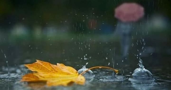 warming-night-frosts-and-rains-in-the-east-weather-forecast-for-october-21