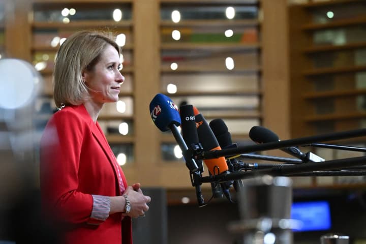 glava-diplomatii-yes-otvetila-ne-budet-li-poshchechinoi-vstrecha-trampa-s-putinim-v-budapeshte-bez-yevropeitsev