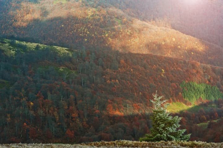 ne-litom-yedynym-kudy-ukraintsi-mozhut-poikhaty-u-vidpustku-voseny