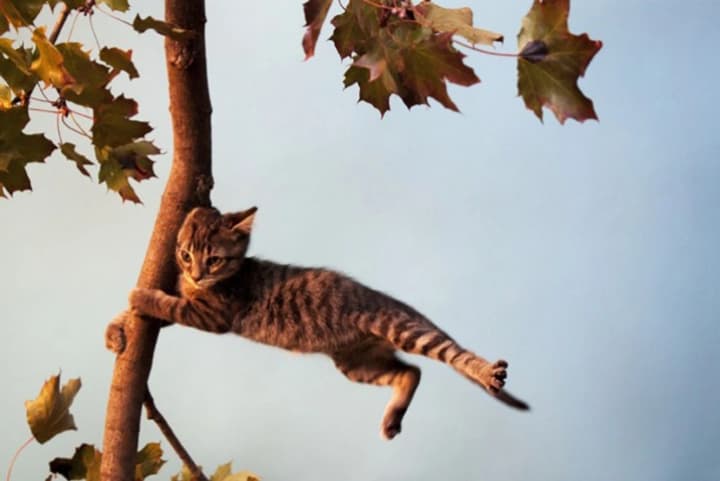 dsns-poperedzhaie-pro-pohirshennia-pohody-24-zhovtnia-shtormovyi-viter-u-kilkokh-rehionakh-ukrainy