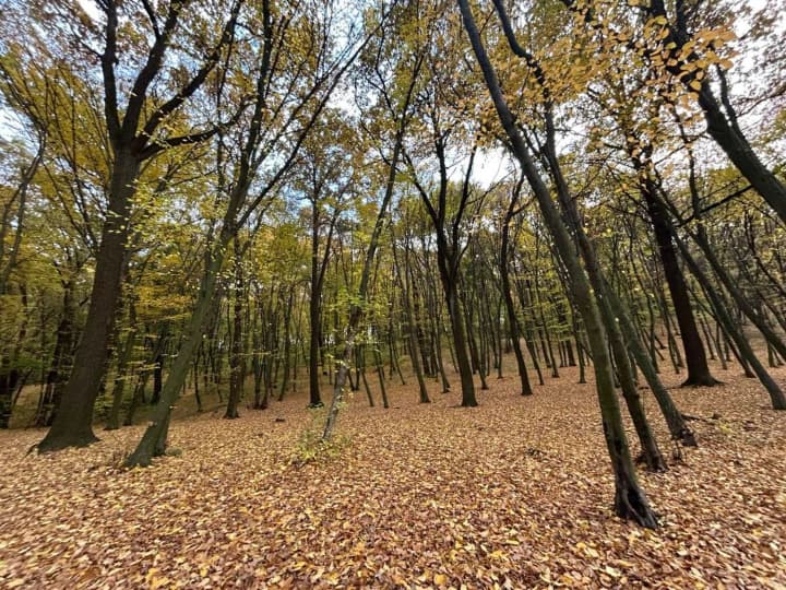 ukraine-prepares-for-weather-contrasts-rain-on-saturday-and-warming-on-sunday