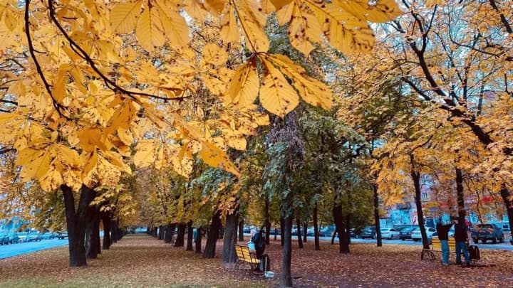 oblachno-s-proyasneniyami-kakaya-budet-pogoda-v-ukraine-v-voskresene