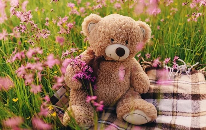 international-teddy-bear-day-and-ukrainian-written-language-day-what-else-is-celebrated-on-october-27