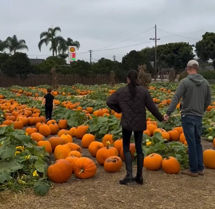 megan-markl-nadela-naryad-za-1600-dollarov-dlya-prazdnovaniya-khellouina-s-printsem-garri-i-detmi