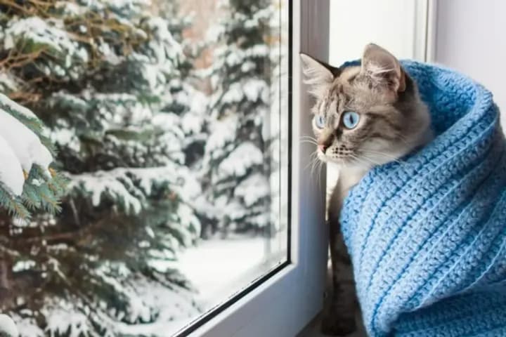 stoit-li-nadeyatsya-na-tepluyu-zimu-sinoptik-dala-prognoz