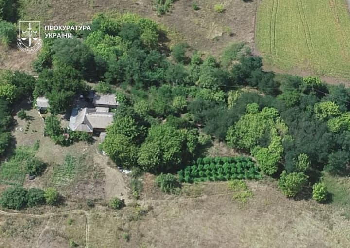 v-kieve-razoblachili-narkoagrariev-u-kotorikh-izyali-50-meshkov-konopli-i-5-kg-kannabisa