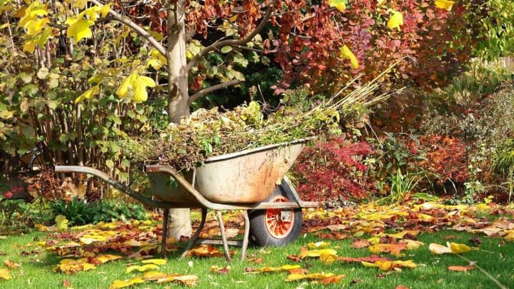 what-to-plant-in-november-how-to-prepare-your-garden-for-winter-and-lay-the-foundation-for-a-future-harvest