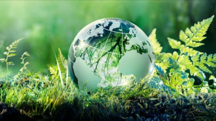 world-ecology-day-all-saints-day-and-eus-birthday-what-else-is-celebrated-on-november-1