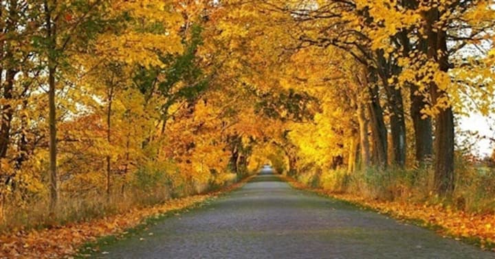 peremennaya-oblachnost-i-sukhaya-pogoda-mestami-tumani-prognoz-pogodi-na-2-noyabrya