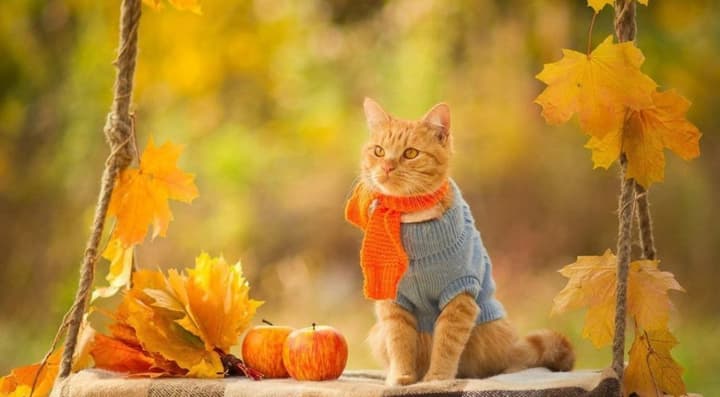 pogoda-v-ukraine-6-noyabrya-teplo-do-15c-i-sukho