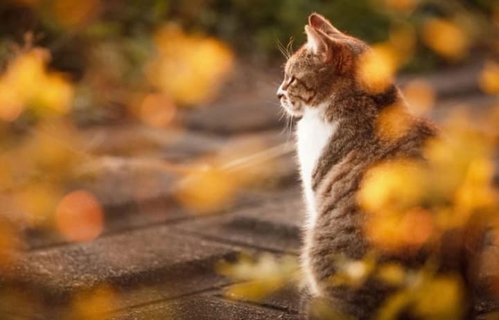 no-rain-but-with-fog-weather-for-november-7-2025