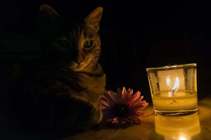 u-kyievi-ta-trokh-oblastiakh-vvedeno-ekstreni-vidkliuchennia-svitla