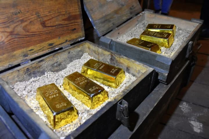 u-frantsii-cholovik-kopav-u-sadu-basein-i-znaishov-skarb-na-euro700-tysiach