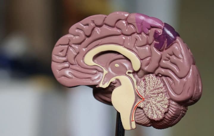 us-and-uk-surgeons-performed-the-first-transatlantic-robotic-thrombectomy