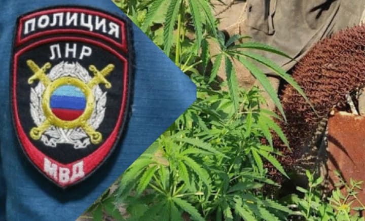 narkozlochynnist-sered-pidlitkiv-na-luhanshchyni-zrosla-vchetvero-z-pochatku-2025-roku-tsns