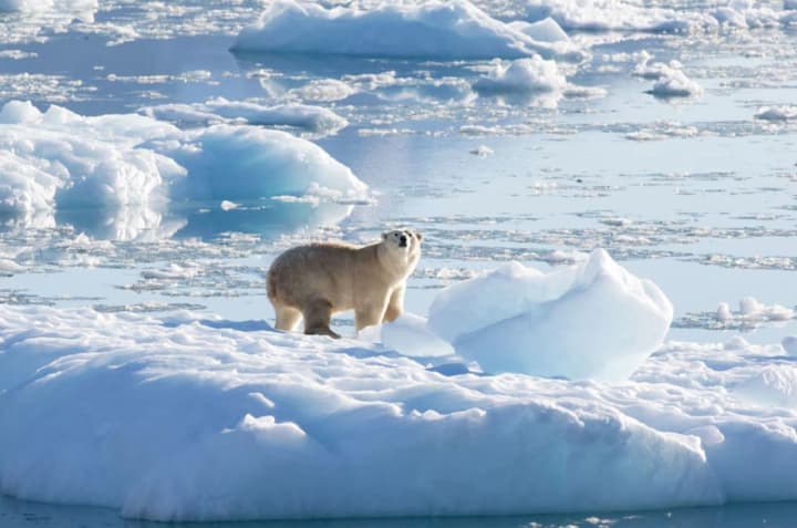 iceland-considers-the-threat-of-atlantic-current-collapse-a-national-security-issue