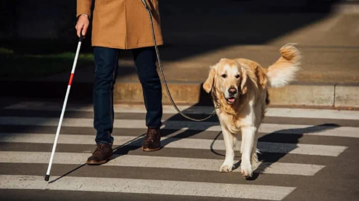 mizhnarodnyi-den-slipykh-ta-vsesvitnii-den-dobroty-shcho-vidznachaiut-13-lystopada