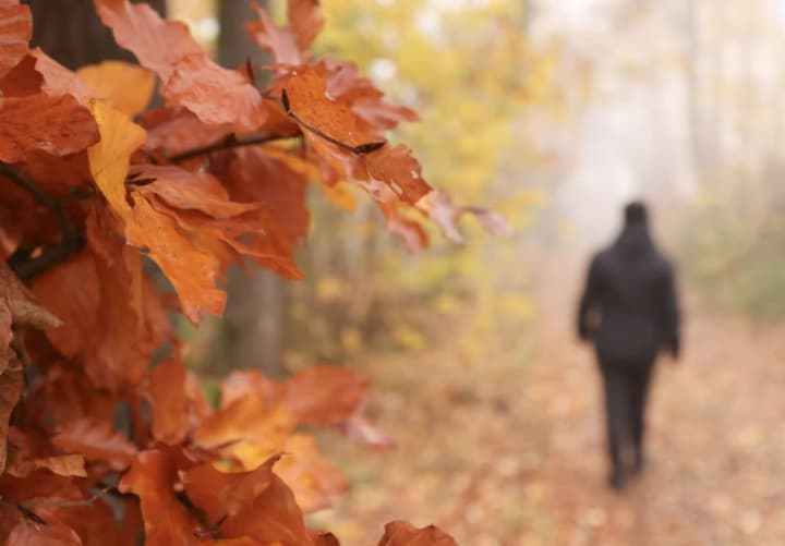 didenko-prohnozuie-poteplinnia-14-lystopada-ale-za-kilka-dniv-ochikuietsia-snih