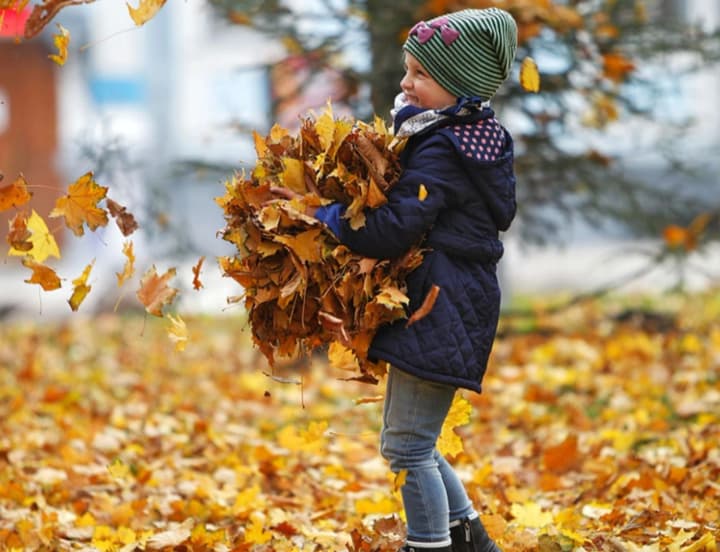 snova-poteplenie-no-so-shtormovim-vetrom-didenko-o-pogode-na-17-oktyabrya