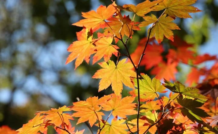 kholodnaya-pogoda-budet-preobladat-18-oktyabrya-v-ukraine-vozmozhni-dozhdi-i-sneg