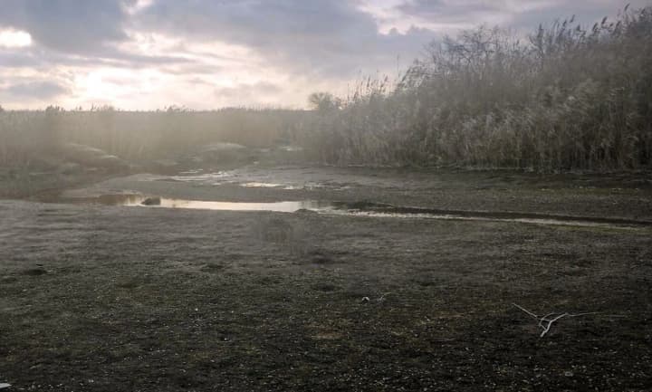 ekotsid-rf-na-donbasse-reka-kalmius-v-pavlopolskom-vodokhranilishche-kriticheski-obmelela-region-na-grani-katastrofi