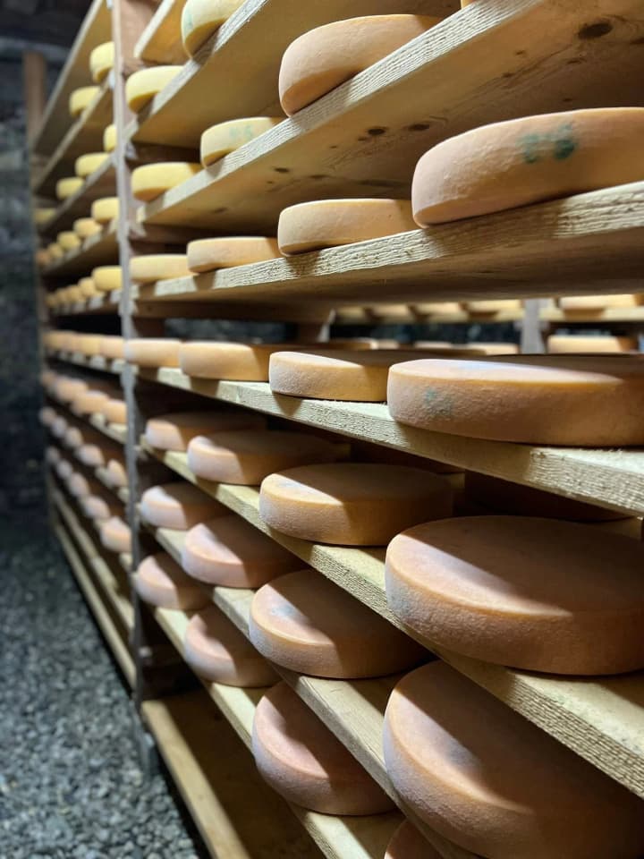 roby-svoie-istoriia-zhytelky-kyivshchyny-yaka-rozvynula-syrovarnyi-biznes-zavdiaky-hrantovomu-konkursu