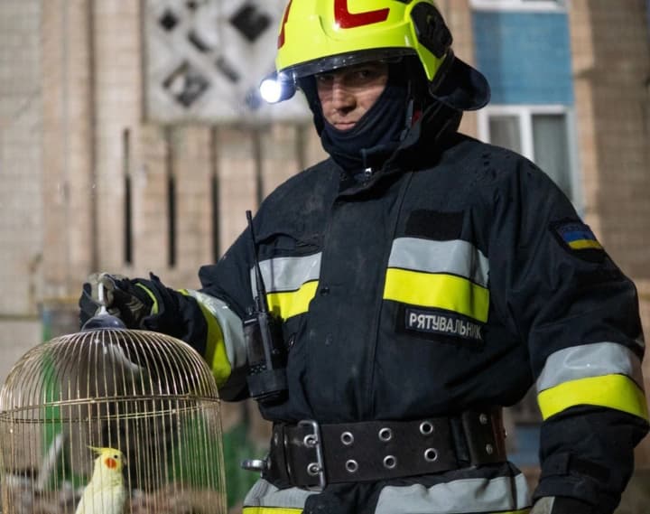 raketnii-udar-rf-po-ternopolyu-19-noyabrya-spasateli-nashli-popugaya-sredi-oblomkov-doma