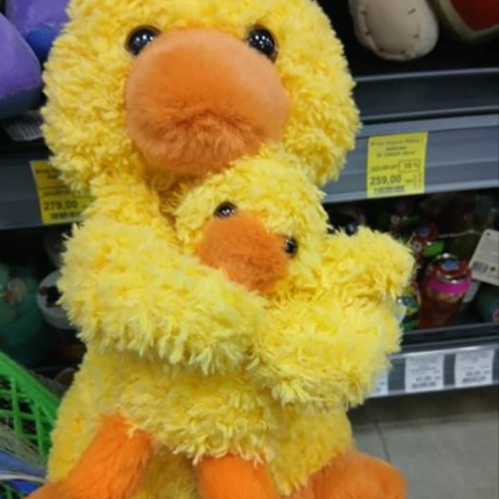 dangerous-toy-duck-with-duckling-found-in-ivano-frankivsk-region