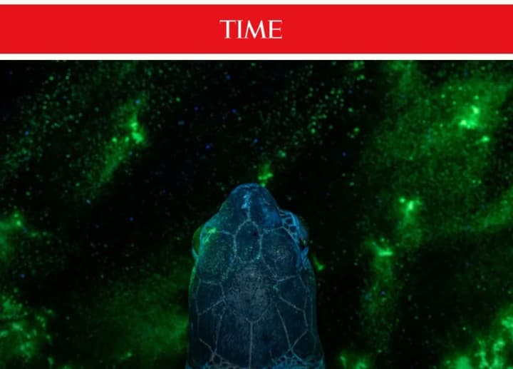 time-vibral-pyat-ukrainskikh-foto-v-top-100-samikh-znachimikh-snimkov-2025-goda